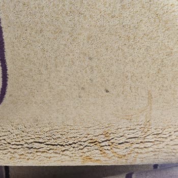 Asil Aslan Halı Koltuk Perde Yıkama Mağduriyet Yaşama