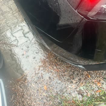 Otomatik Park Hatası Ve Randevu İptaliyle Karşılaşılan Tesla Servis Sorunları