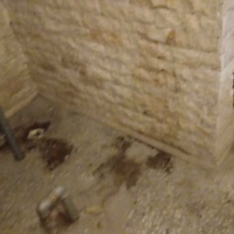 Trendyol Kuryesinin Apartman Girişinde İdrar Yapması Ve Hijyen Sorunu