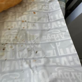 Arby's Hijyen Şikayeti: Çıtır Baget Tavuklu Sandviçte Kıl!