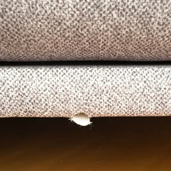 Yataş Enza Home’dan Kırık Ve Yırtık Kanepeler İçin Koşulsuz İade Talebi