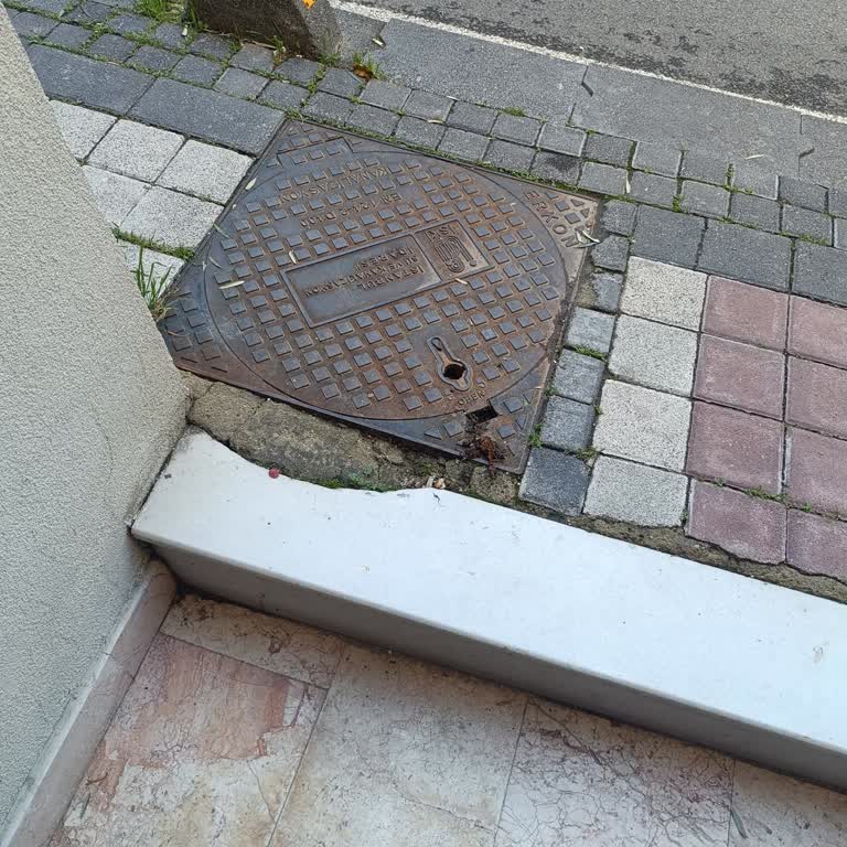 Rögar Kapaklarındaki Süzgeç Eksikliği Evde Fare Sorununa Yol Açtı