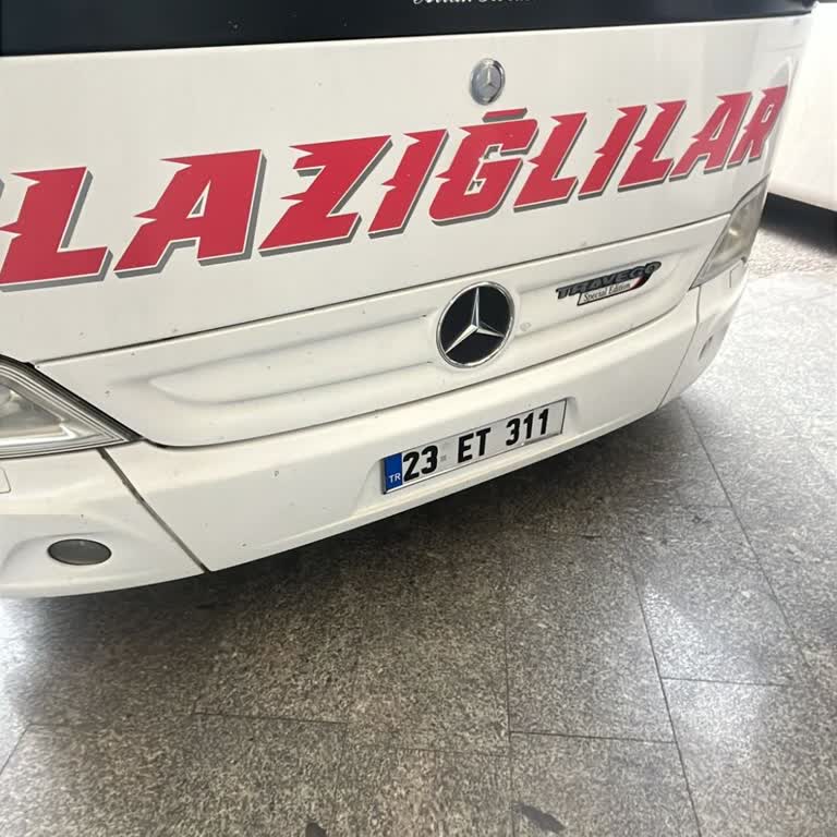 Kedimin Kafesten Kaçması Ve Gecikmeli Bilgilendirme Nedeniyle 1000 TL İadesi Talebi