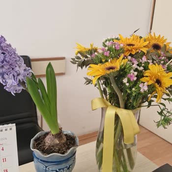 Çiçek Market Görsel İle Uyumlu Olmayan Ve Kalitesiz Çiçek Gönderimi