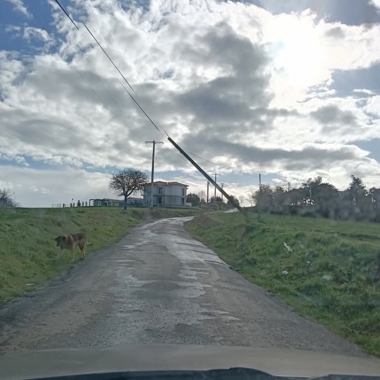 Yolda Yatan Telekom Direği Nedeniyle Güvenlik Endişesi Ve Acil Kaldırma Talebi