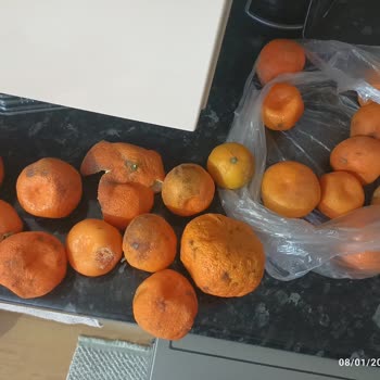 Hakmar Express Çürük Meyveler İçin Tam İade Ve Özür Talebi!