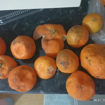 Hakmar Express Çürük Meyveler İçin Tam İade Ve Özür Talebi!