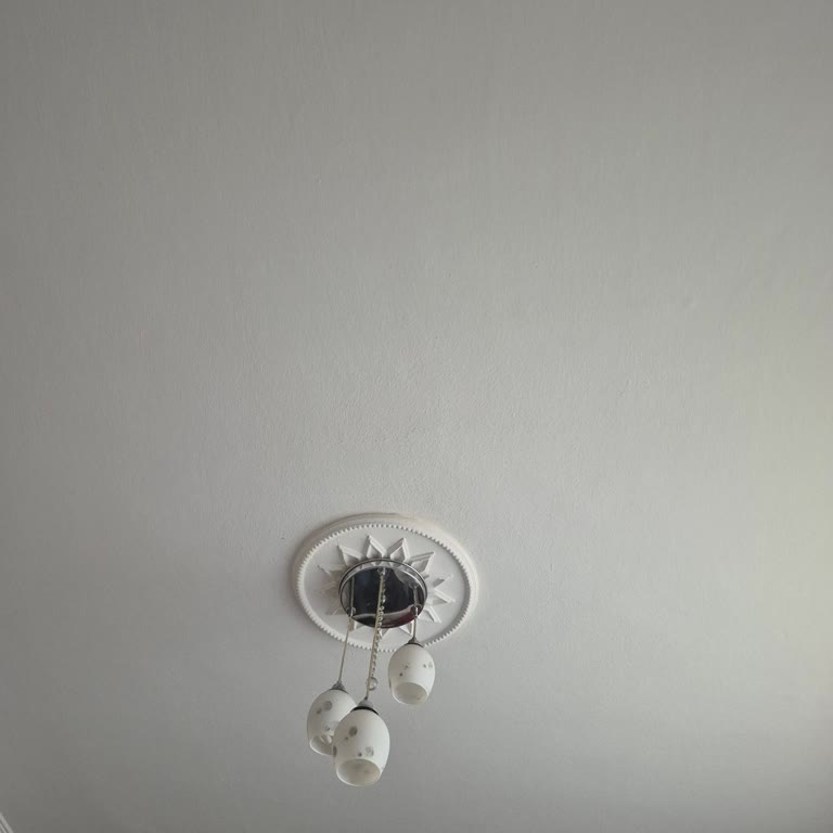 SEDAŞ Elektrik Kesintisi