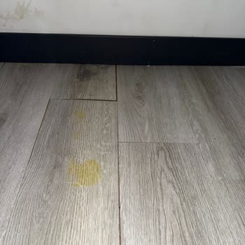 AXA Home Insurance Underpaid My Water Damage Claim