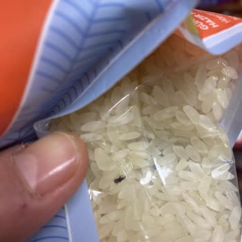 Hasat Markalı Bakliyatta Böcek Sorunu Ve Gıda Güvenliği Endişesi