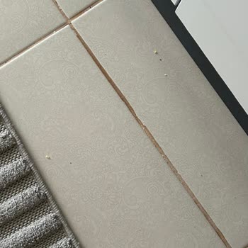 Roborock Q8 Temizlik Yapmıyor Ve Garanti Çözüm Sağlamıyor