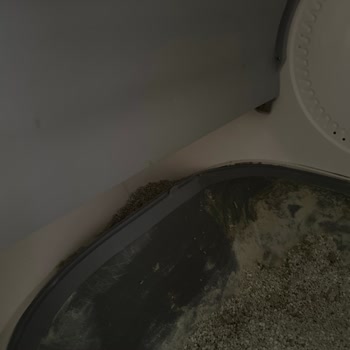 Yasomi Otomatik Kedi Tuvaleti Kum Haznesi Çıkıyor Ve Çiş Sızdırıyor