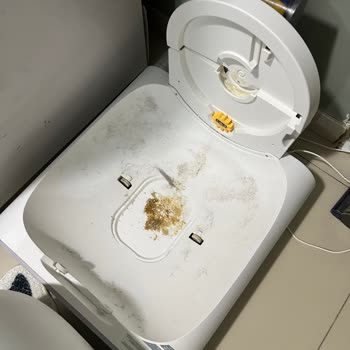 Yasomi Otomatik Kedi Tuvaleti Kum Haznesi Çıkıyor Ve Çiş Sızdırıyor