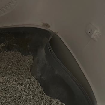 Yasomi Otomatik Kedi Tuvaleti Kum Haznesi Çıkıyor Ve Çiş Sızdırıyor