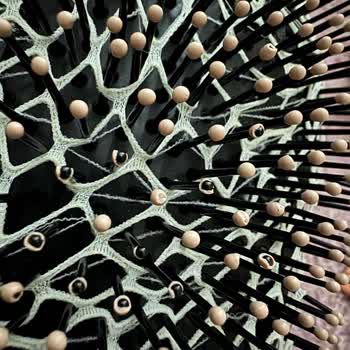 Dyson Tarak Seti Kısa Sürede Parçaları Dökülüyor, Değişim Talep Ediyor