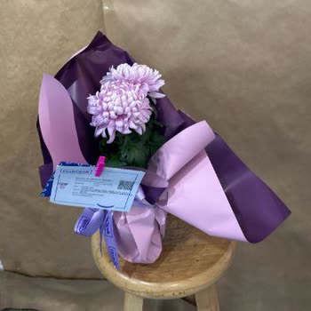 Yanıltıcı Görseller Ve Az Çiçekli Ürün İçin Ücret İadesi Talebi