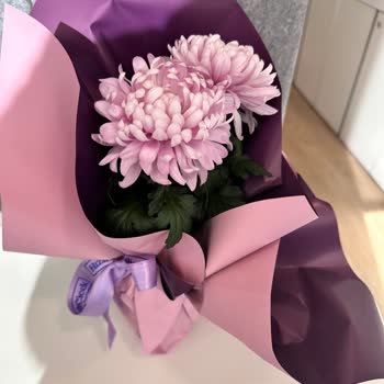 Yanıltıcı Görseller Ve Az Çiçekli Ürün İçin Ücret İadesi Talebi