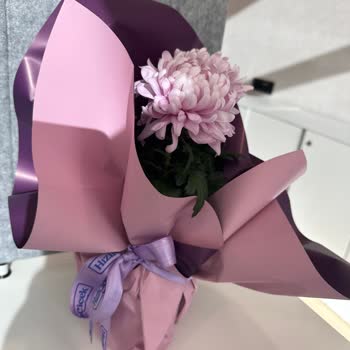 Yanıltıcı Görseller Ve Az Çiçekli Ürün İçin Ücret İadesi Talebi