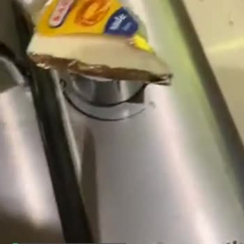Karper Peynirden Kıl Çıktı