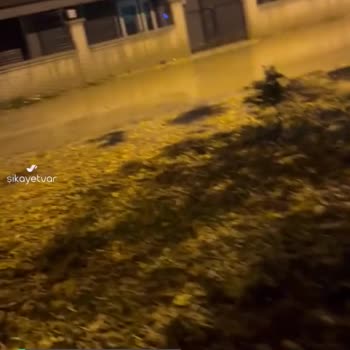 Odunpazarı Belediyesi Asfalt İstiyoruz Lütfen