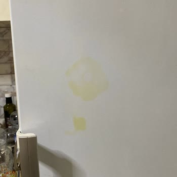 Buzdolabı Kapak Lekeleri Ücretsiz Değişim Talebi