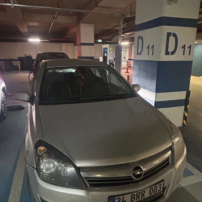 Trugo Şarj İstasyonunda Normal Araçların Elektrikli Araç Alanını İşgal Etmesi