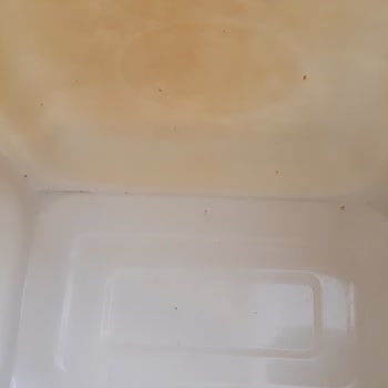 Garanti Kapsamındaki Mikrodalga Fırının Küflenmesi Ve Servisin Kullanıcı Hatası Söylemesi