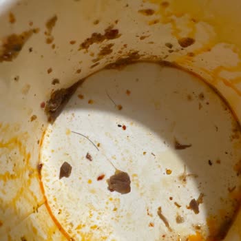 Kıl İçeren Çorba Ve İade Talebimin Yemeksepeti Tarafından Reddedilmesi!