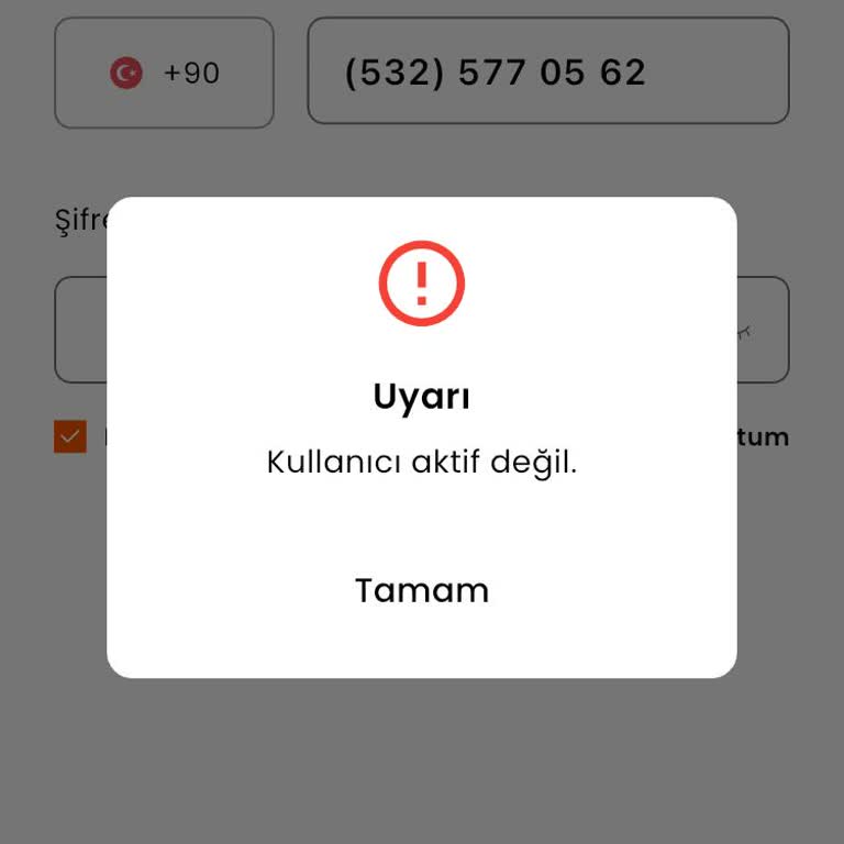 Paratim Uygulamasına Giriş Yapamıyor 17.000 TL Bakiyeye Erişilemiyor