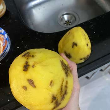 Anpa Gross Market Çürük Patates Satışı Tekrarlandı