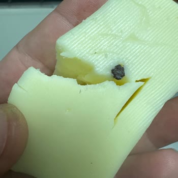 Tarabya Kaşar Peynirde Taş Çıkması