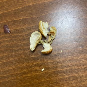 Canlı Kurtlarla Karşılaştığım Kuruyemiş Paketi İçin Ücret İadesi