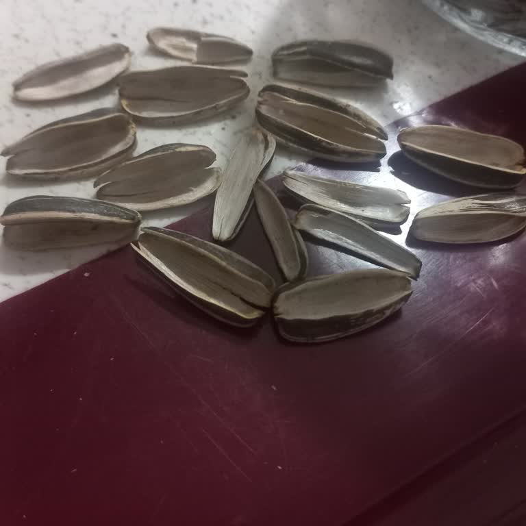 Simbat Tuzsuz Çekirdekte Yarı Boşluk Sorunu Ve Yetersiz İletişim