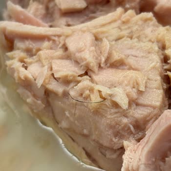 Dardanel Ton Balığında Kıl Çıktı: Güvenle Tükettiğim Üründe Hayal Kırıklığı