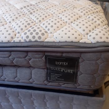 Bambi Yatak Yatakta Belirgin Şekilde Çökme Tüylenme Ve Sararma Oluştu