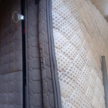 Bambi Yatak Yatakta Belirgin Şekilde Çökme Tüylenme Ve Sararma Oluştu