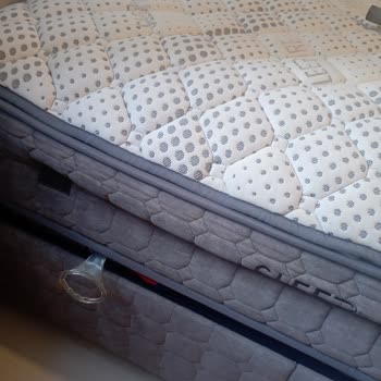 Bambi Yatak Yatakta Belirgin Şekilde Çökme Tüylenme Ve Sararma Oluştu