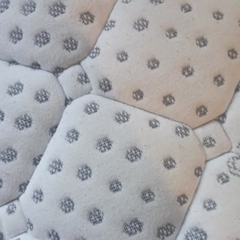 Bambi Yatak Yatakta Belirgin Şekilde Çökme Tüylenme Ve Sararma Oluştu