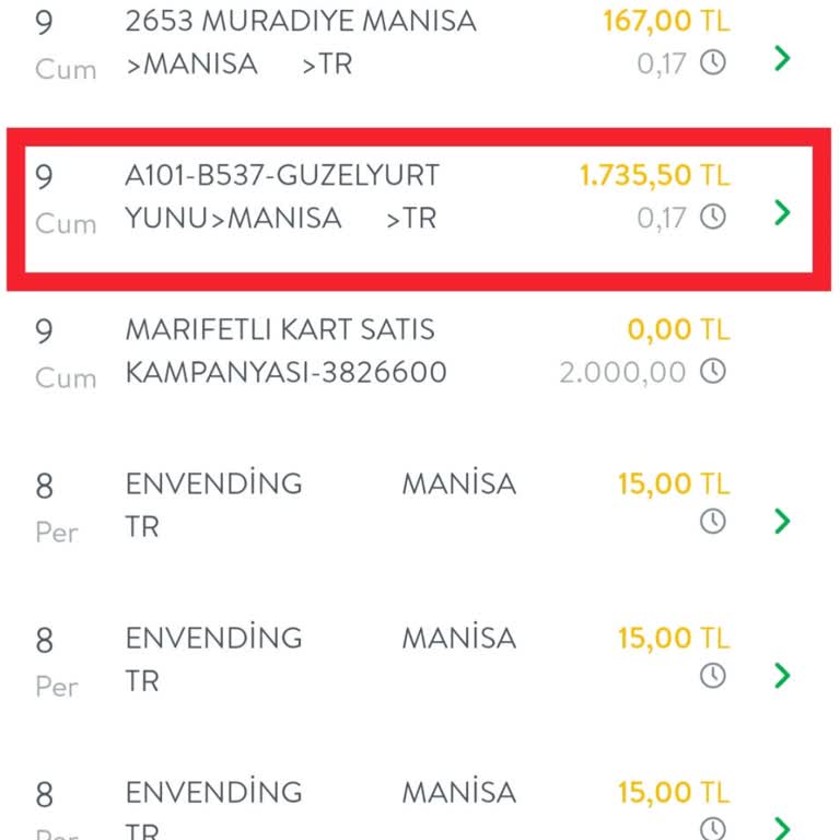 Bonus Puanlarım Kullanılmadı, 1.750 TL Kart Borcu Bıraktı