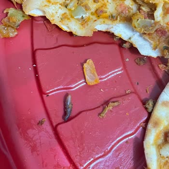 Pekfood Migros Sanal Market'ten Gelen Lahmacun İçinde Solucan Şok Edici