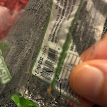 Makbul Şubesinde Yer Fıstıklı Krokan İçinde Kurt