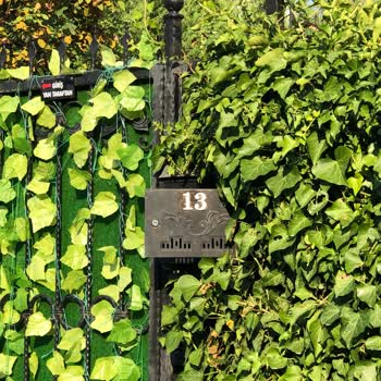 Belediye Uyarısına Rağmen Yanlış Levha Kaldırılmıyor