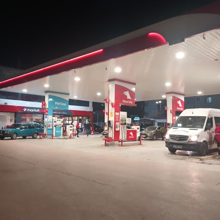 Petrol Ofisi Personelinin Sokak Kedisine Şiddet Uygulaması Şikayet Edildi