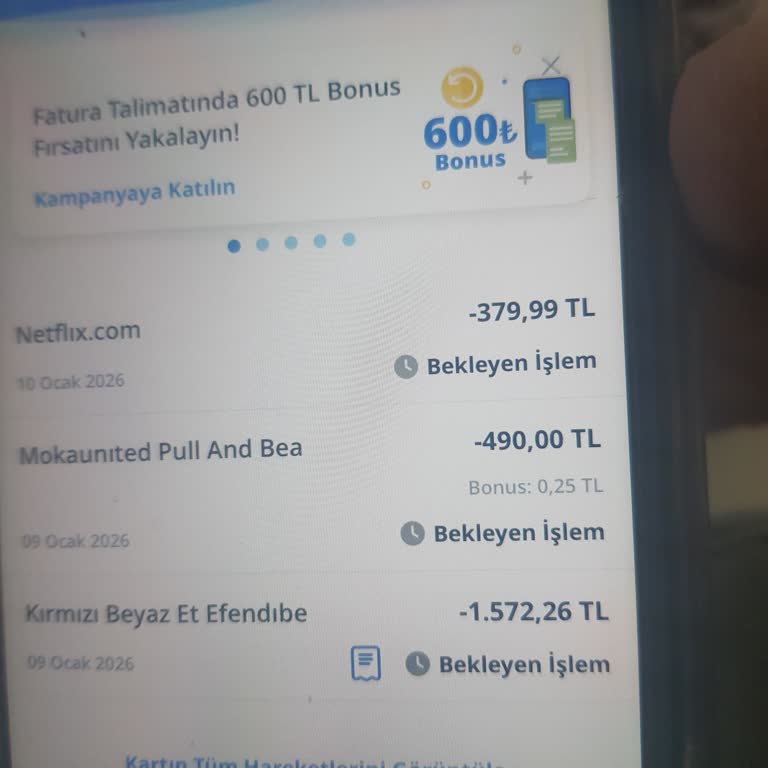 Netflix'ten Yetkisiz 379,99 TL Ödeme İçin İade Ve Güvenlik Açığı İncelemesi Talebi