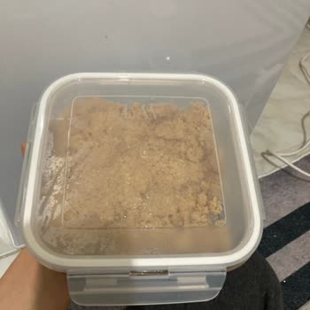 Lav Fresco Cam Saklama Kapakları Oturmuyor Ve Bulaşık Makinesinde Yıkanamıyor