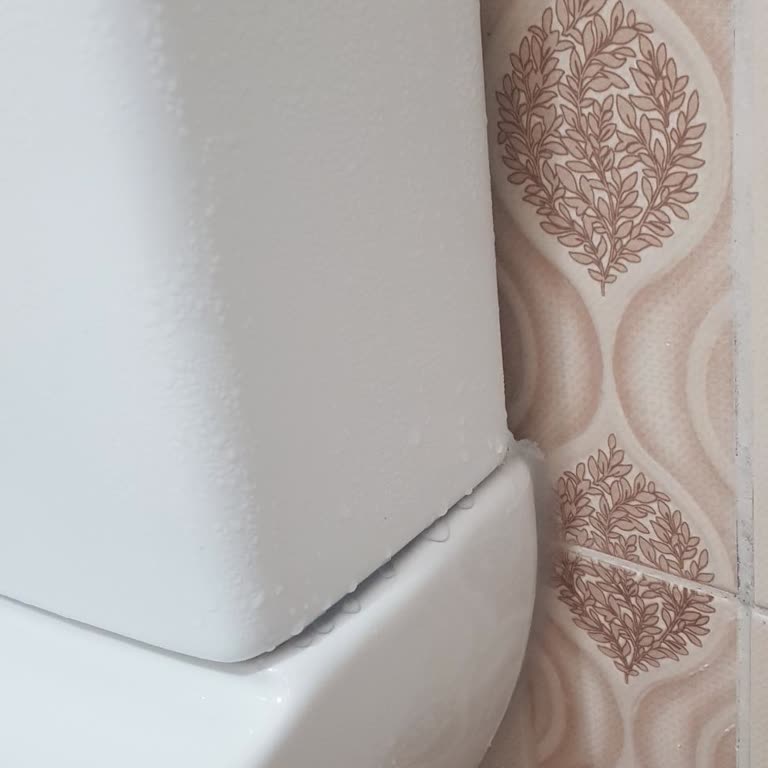 Klozet Sifonunda Normal Olmayan Terleme Ve Sürekli Islanma