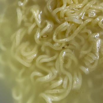 İndomie Körili Noodle’da Kurt Görüldü: Gıda Güvenliği İhlali