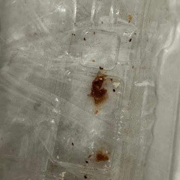Ülker Halley Ürününde Böcek Ve Kurtçuk Bulunması