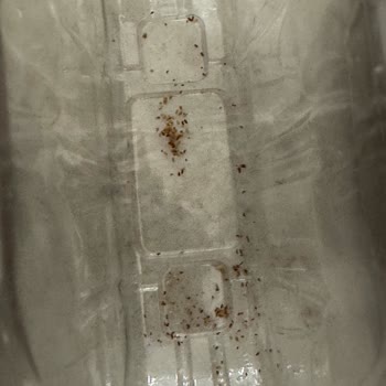 Ülker Halley Ürününde Böcek Ve Kurtçuk Bulunması