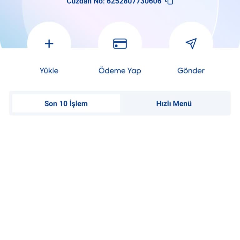 2.020 TL'lik Yatırımım Dinamik Pay'de Görünmüyor